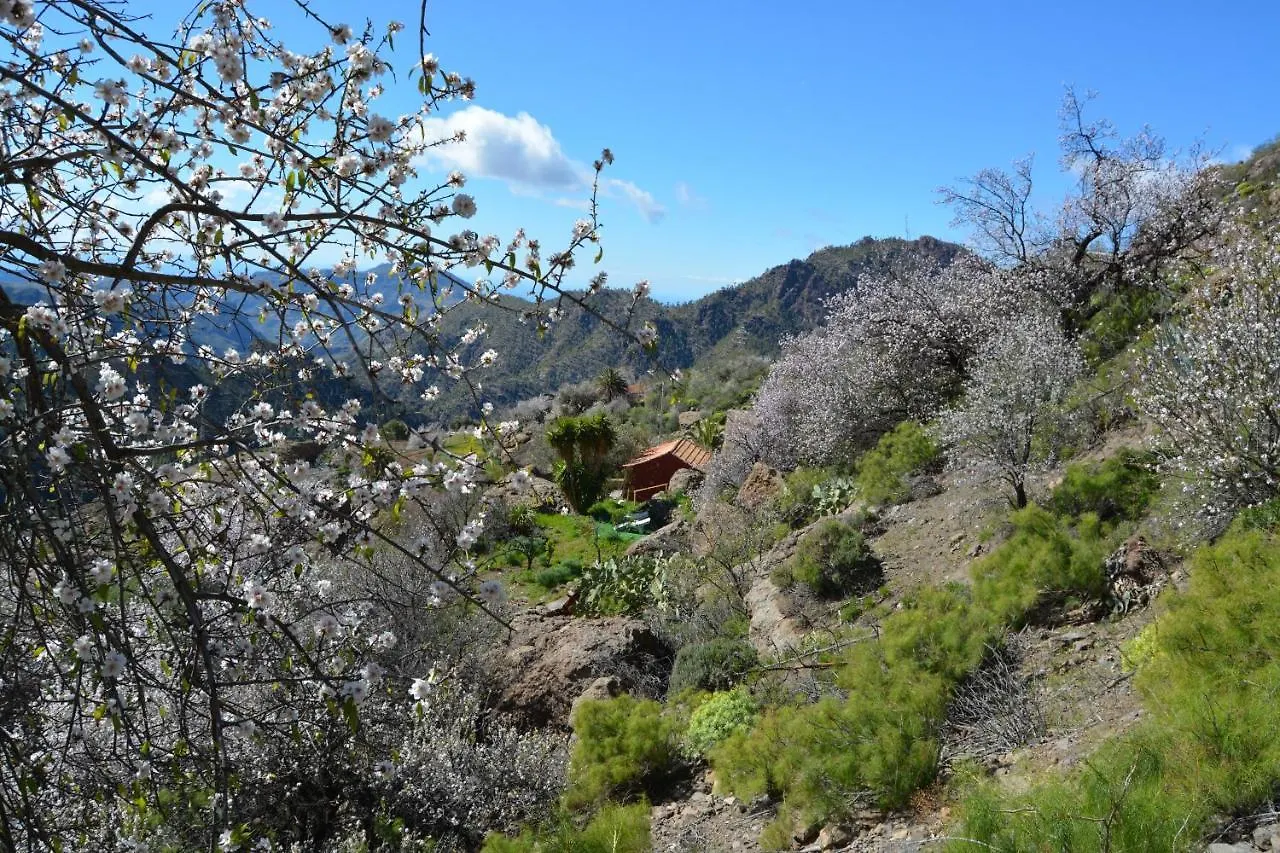 Villa Casa Cueva El Pedregal Tejeda Сasa de vacaciones