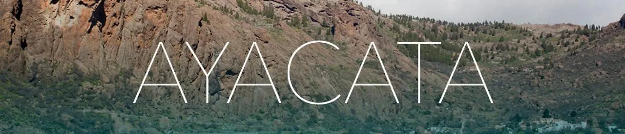 Сasa de vacaciones Villa Casa Cueva El Pedregal Tejeda España