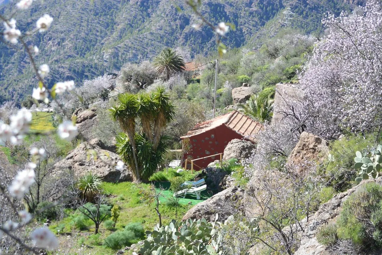 Casa Cueva El Pedregal Tejeda Villa Tejeda (Gran Canaria)