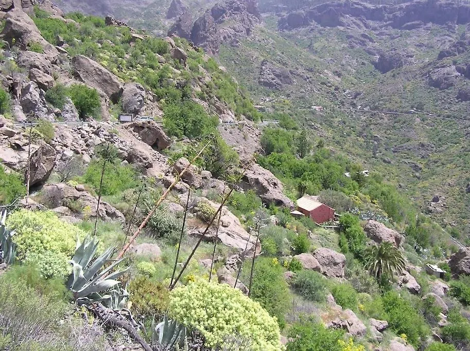 Casa Cueva El Pedregal Tejeda Villa